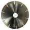 Диск алмазный 116x20 для мокрорезов 00105 - фото 16686